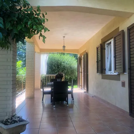 Marco 1 *